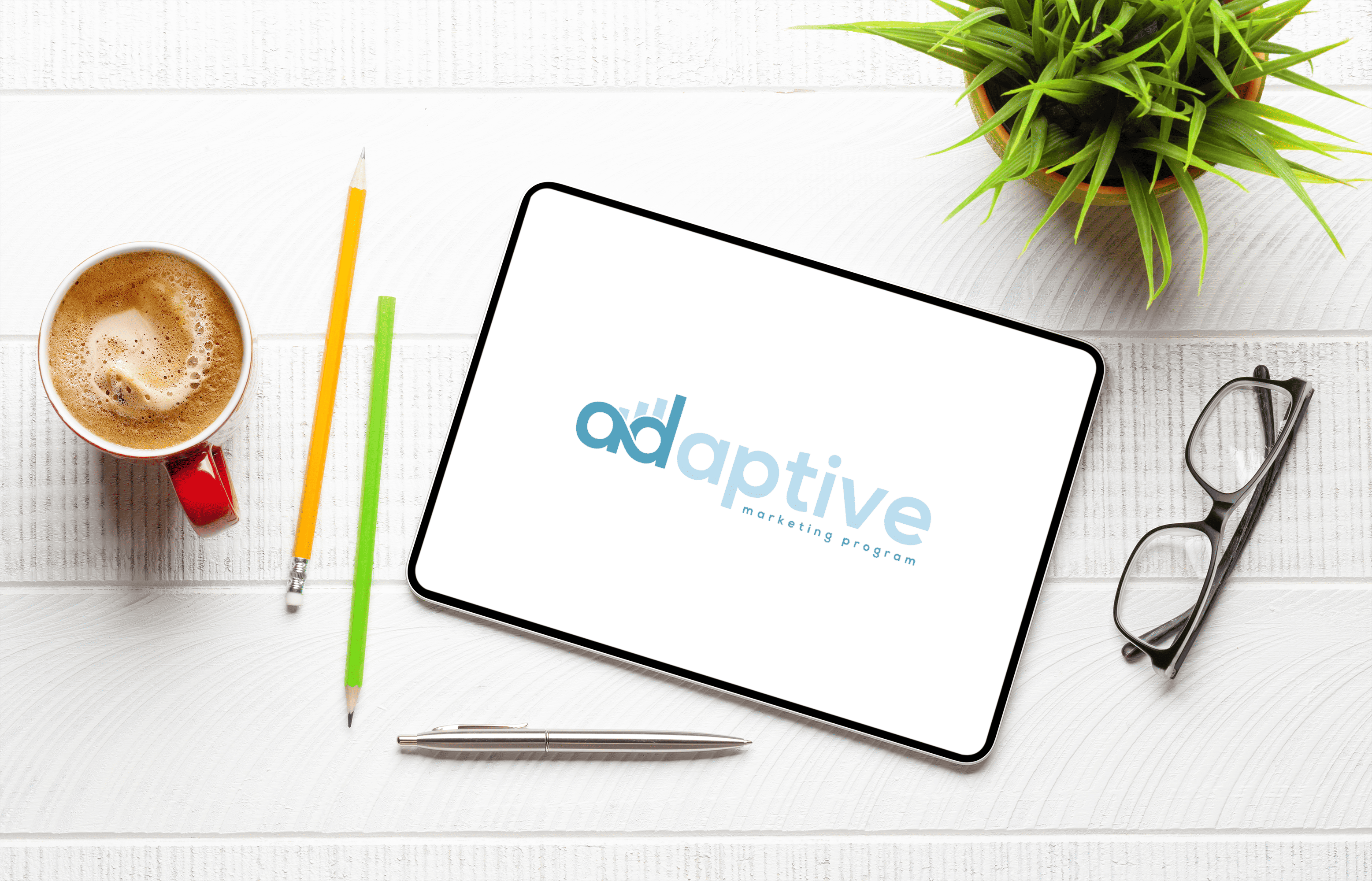 Adaptive Marketing Program